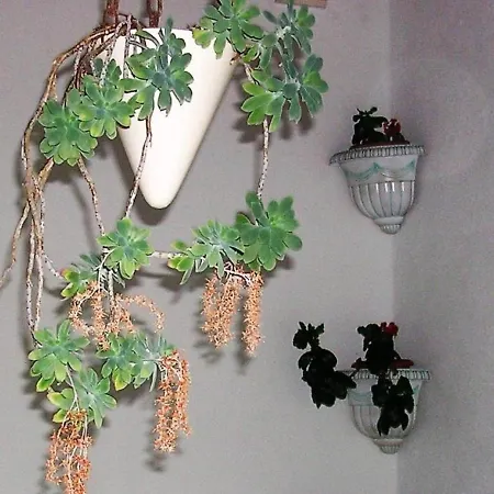 Ivy - With Balcony 아파트